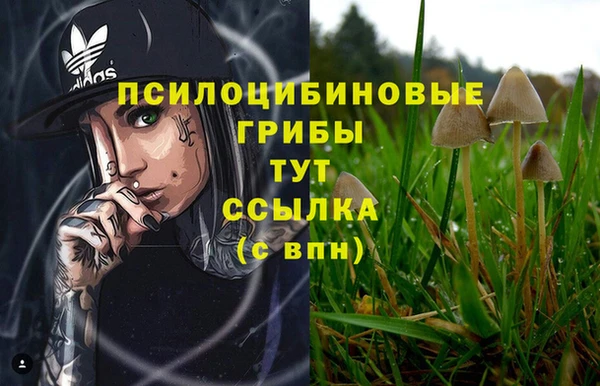 соль курить ск Алексин