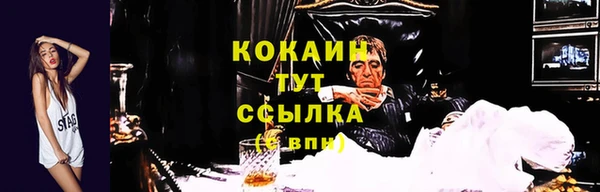 прущий лед Алзамай
