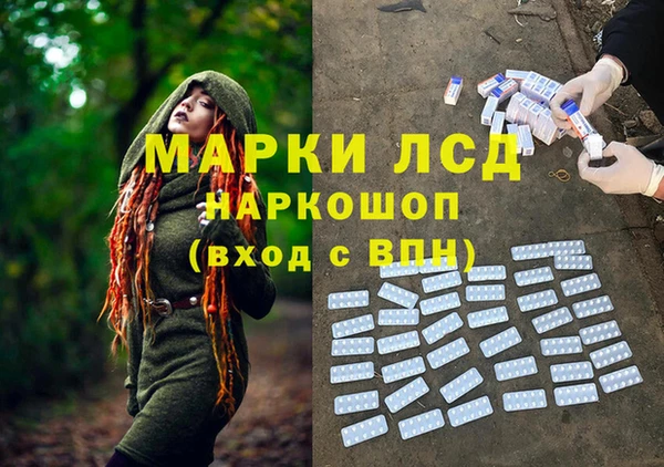 прущий лед Алзамай