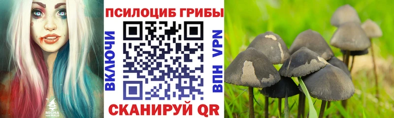 купить наркотик  Долинск  Галлюциногенные грибы GOLDEN TEACHER 